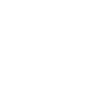 Puzzle Icon