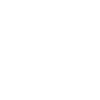 System Icon